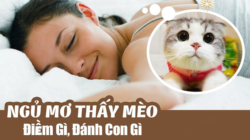 Mơ thấy mèo đánh con gì