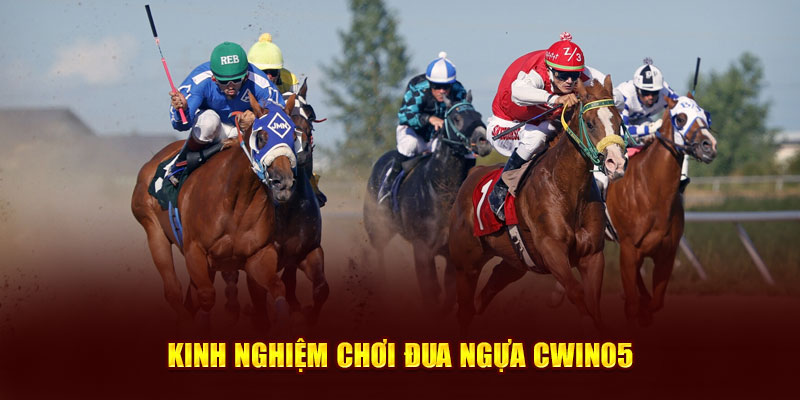 Kinh nghiệm chơi đua ngựa cwin05