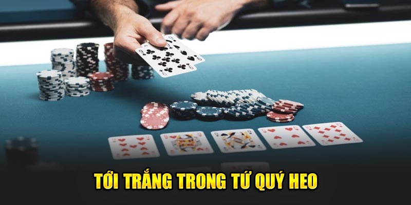 Toi-trang-trong-tu-quy-heo